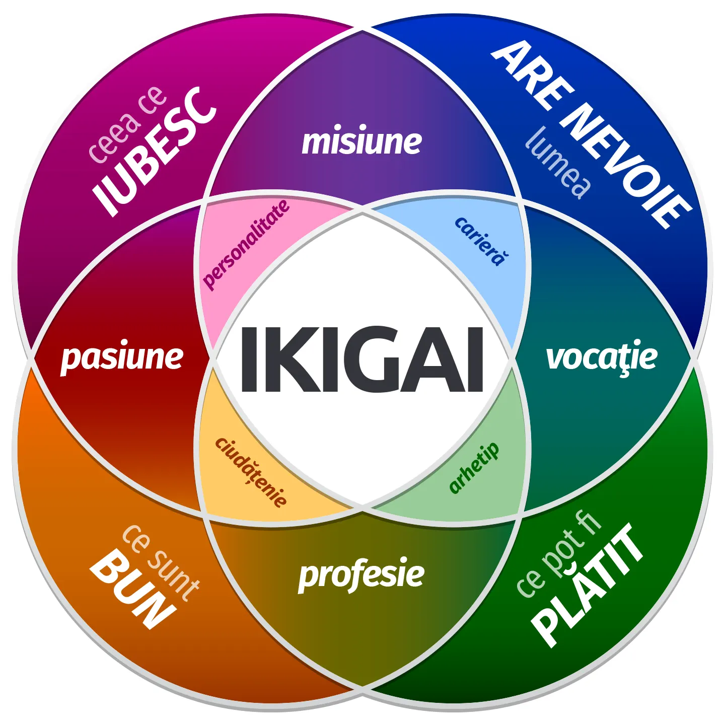 ikigai înțeles în română