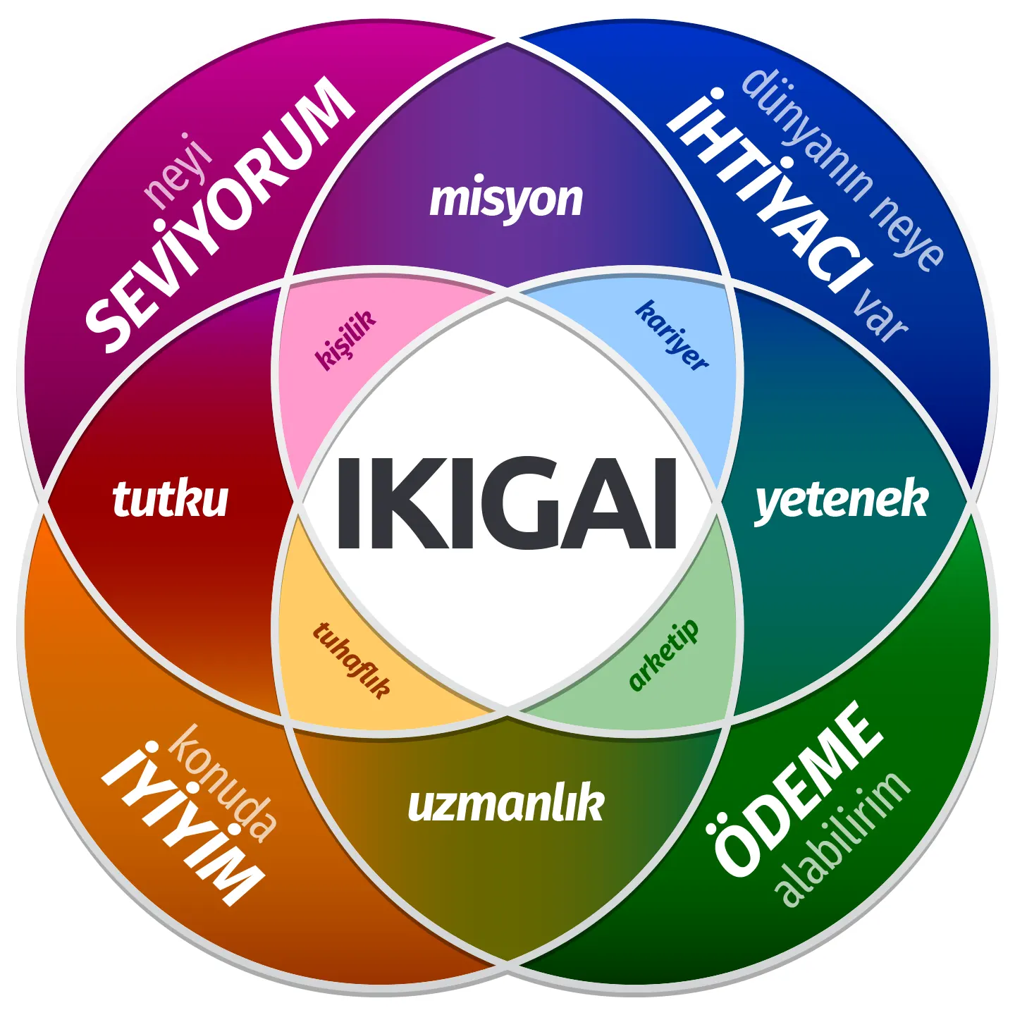 ikigai türkçe anlamı