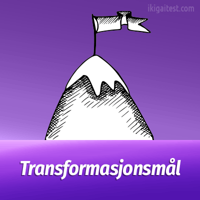 Transformasjonsledelse