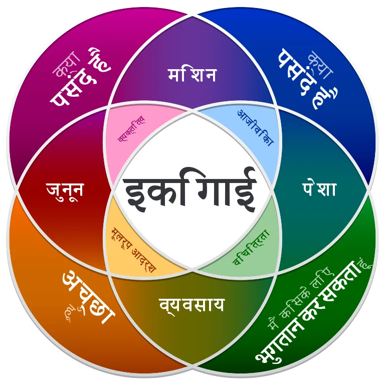 इकिगाई का मतलब हिंदी में इकिगाई का मतलब हिंदी में