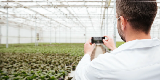 29-job Nursery and greenhouse managers