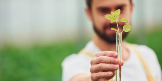 39-job Biofuels/biodiesel technology and product development managers
