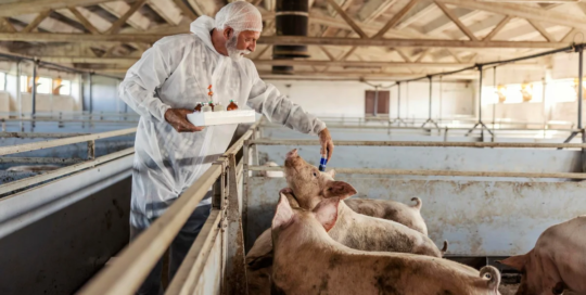 Animal scientists