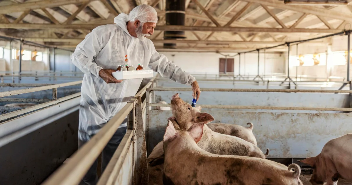 Animal scientists
