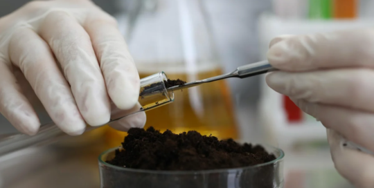 Soil and plant scientists