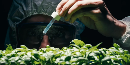 Environmental scientists and specialists, including health