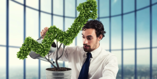 Environmental economists