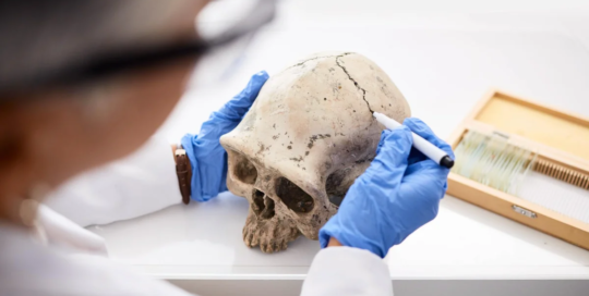 Archeologists