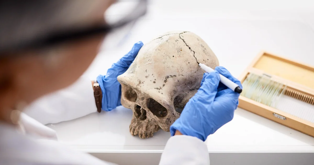 Archeologists