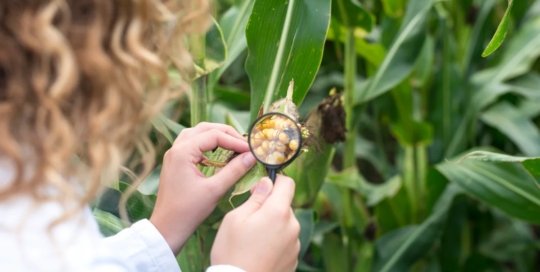 Agricultural technicians