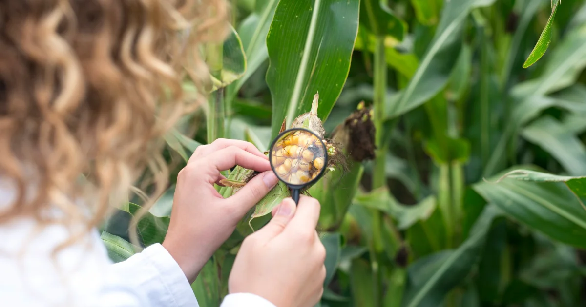 Agricultural technicians