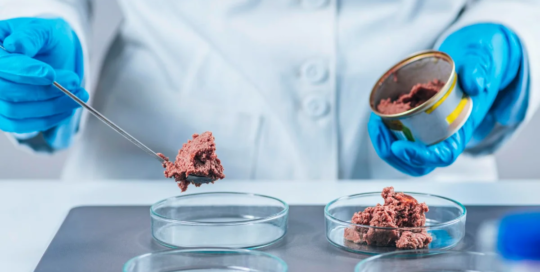 Food science technicians