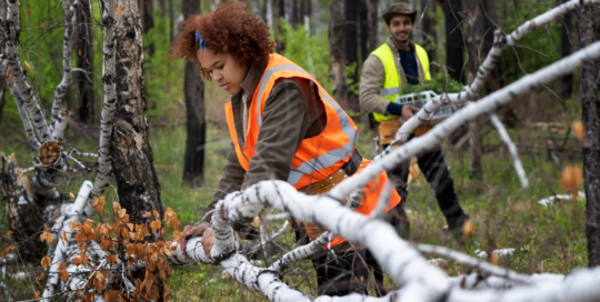 Forest and conservation technicians