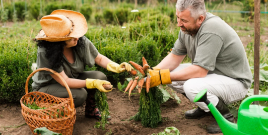 Farm and home management advisors