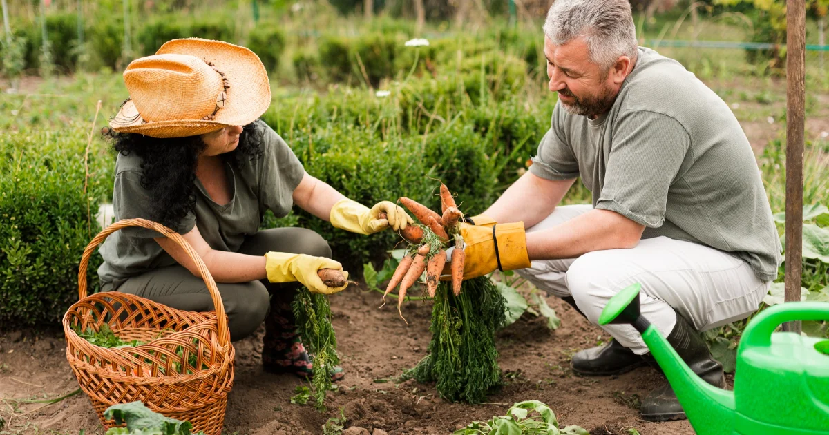 Farm and home management advisors