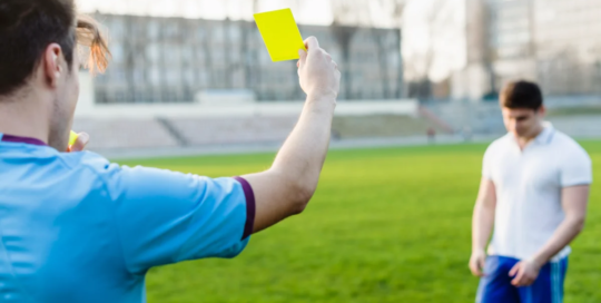 Umpires, referees, and other sports officials