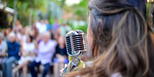 Public address system and other announcers