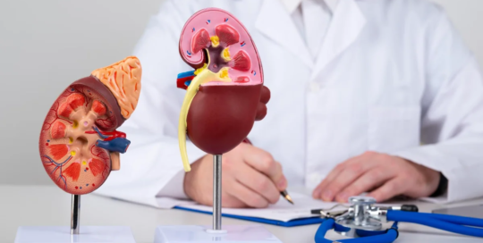 Urologists