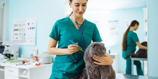 Veterinarians
