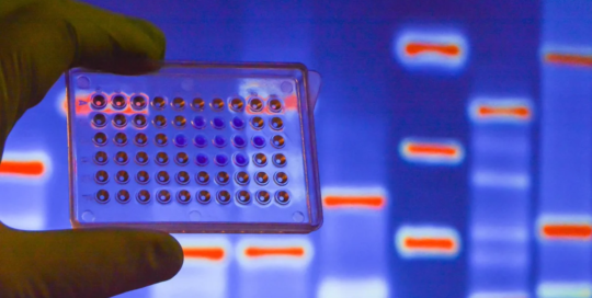 Cytogenetic technologists