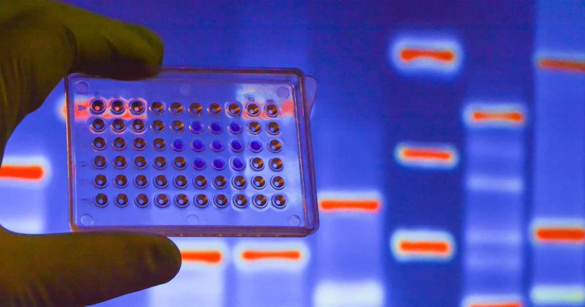 Cytogenetic technologists
