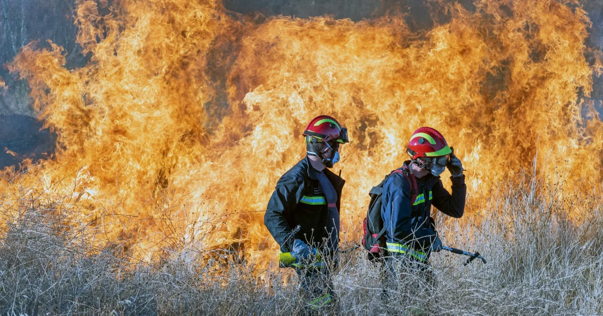 Forest fire inspectors and prevention specialists