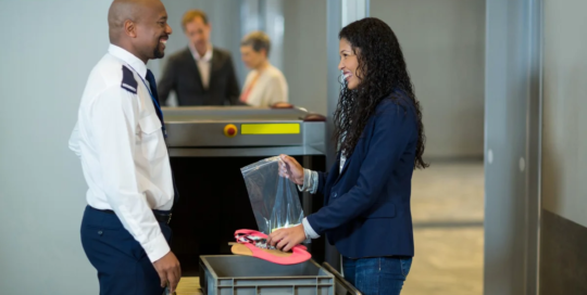 Transportation security screeners