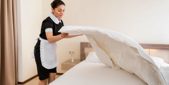 Maids and housekeeping cleaners