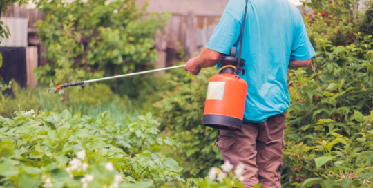 Pesticide handlers, sprayers, and applicators, vegetation