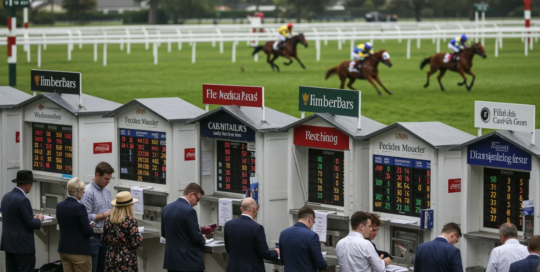 Gaming and sports book writers and runners