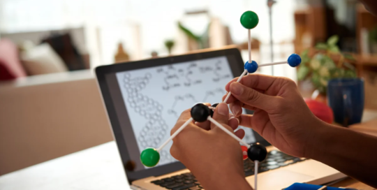 Bioinformatics technicians