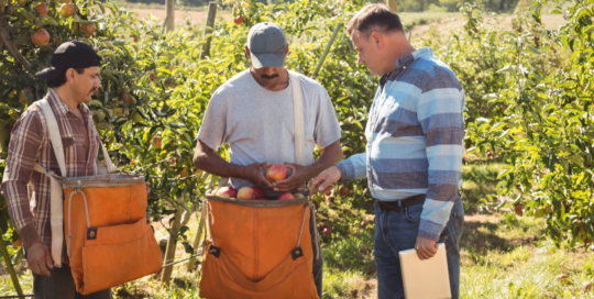 Supervisors of agricultural crop and horticultural workers