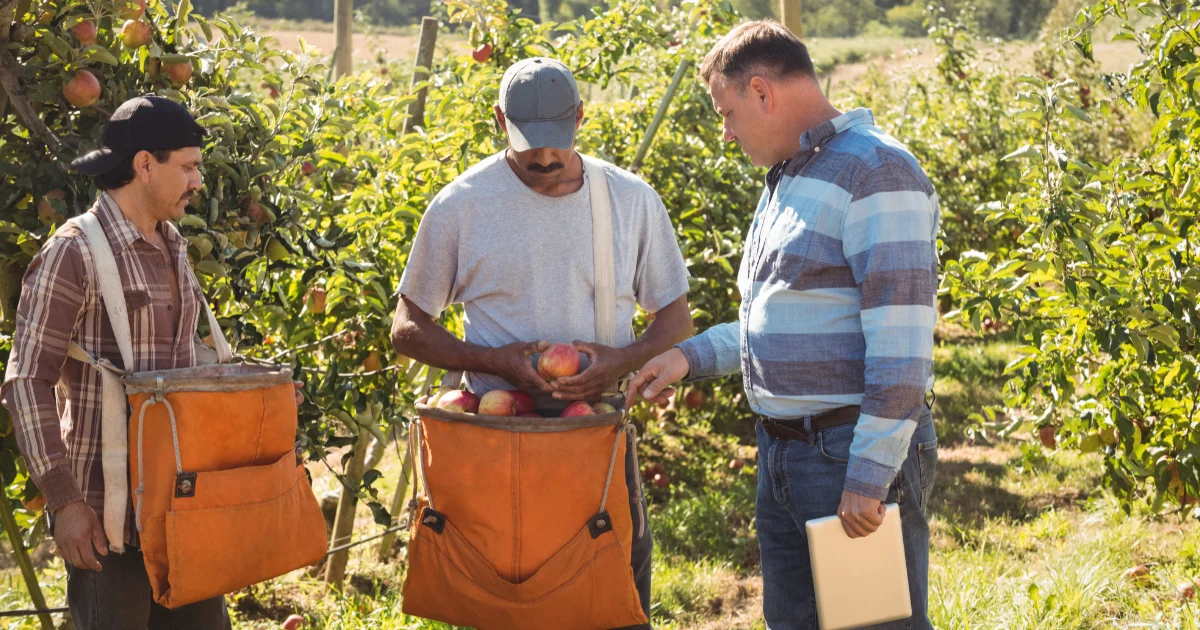 Supervisors of agricultural crop and horticultural workers