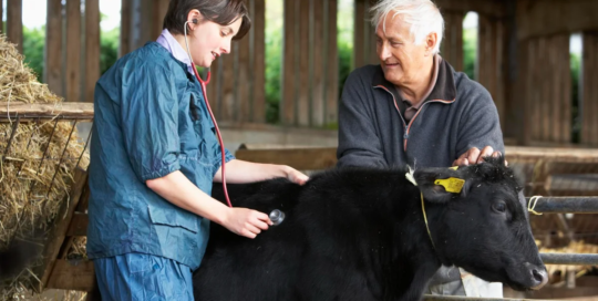 Supervisors of animal husbandry and animal care workers