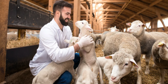 Animal breeders