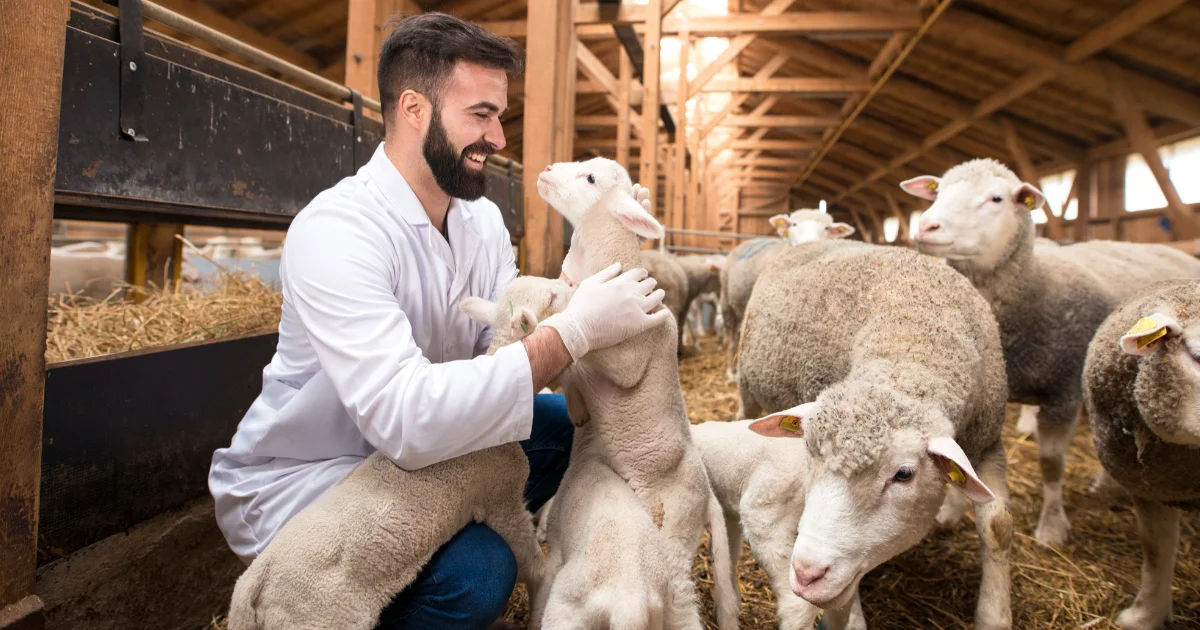 Animal breeders
