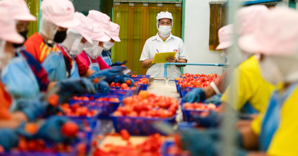 Graders and sorters, agricultural products
