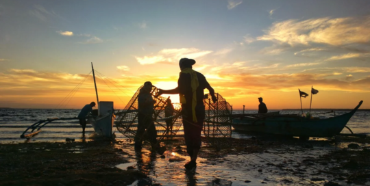 Fishers and related fishing workers