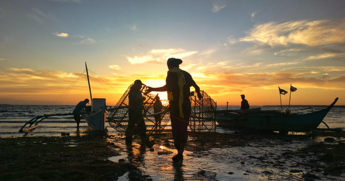 Fishers and related fishing workers