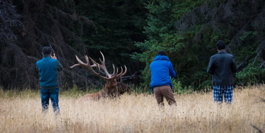 Hunters and trappers