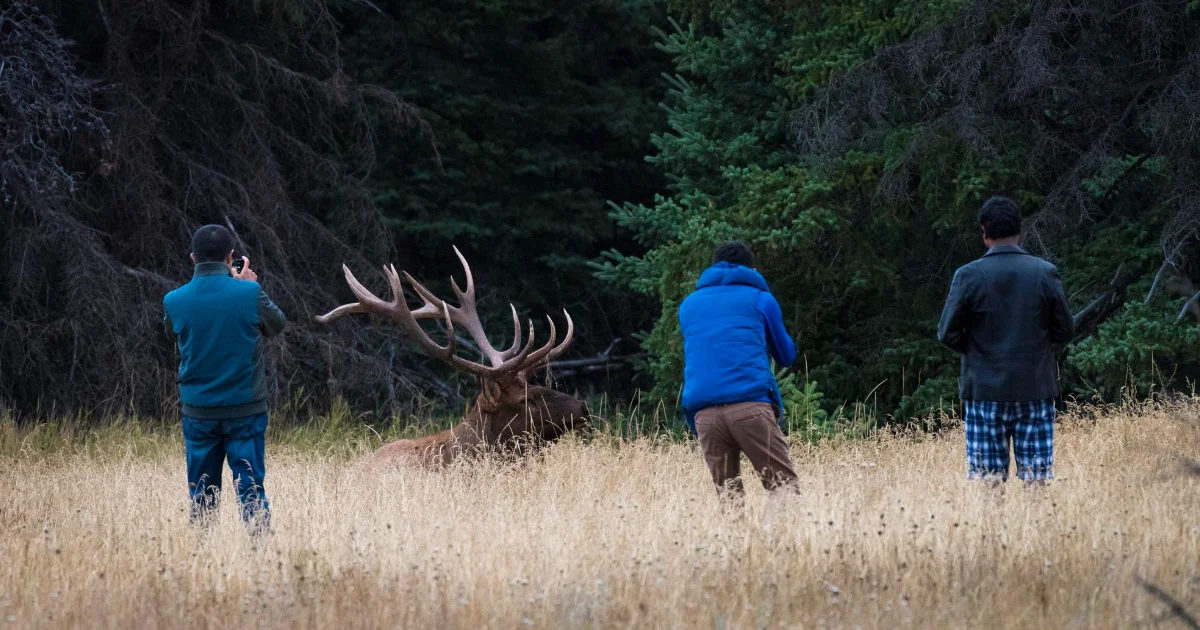 Hunters and trappers