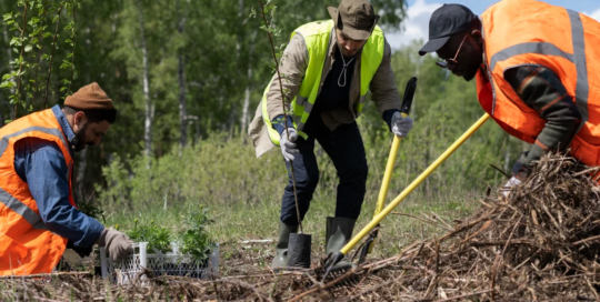 Forest and conservation workers