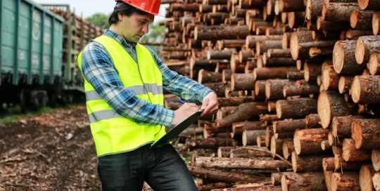 Log graders and scalers