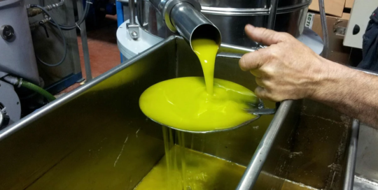 Biofuels processing technicians