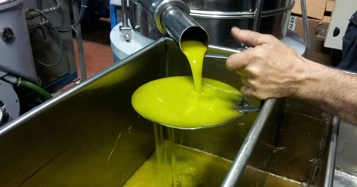 Biofuels processing technicians