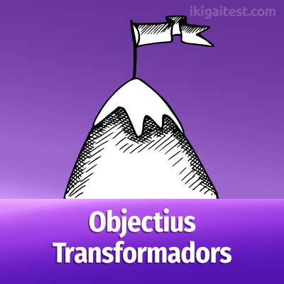 Objectius de lideratge transformacional